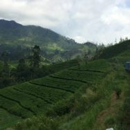 2015-04-26-Sri-Lanka-13